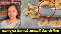 Badlapur News: बदलापुरात केकमध्ये आढळली उंदराची विष्ठा! नगरसेविकेला झाल्या उलट्या,  FDA टीम बेकरीत दाखल