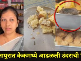 Badlapur News: बदलापुरात केकमध्ये आढळली उंदराची विष्ठा! नगरसेविकेला झाल्या उलट्या,  FDA टीम बेकरीत दाखल