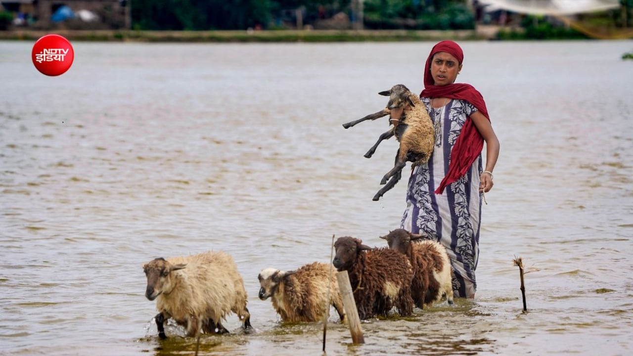 भारत अपने बारिश के पानी का क्या करता है और दुनिया के बाकी देश क्या कर रहे?