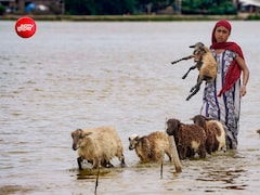 भारत अपने बारिश के पानी का क्या करता है और दुनिया के बाकी देश क्या कर रहे?