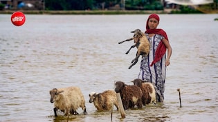 भारत के शहरों में आफत बन रही बारिश, इन देशों ने कैसे एक-एक बूंद बचाकर बनाया समंदर