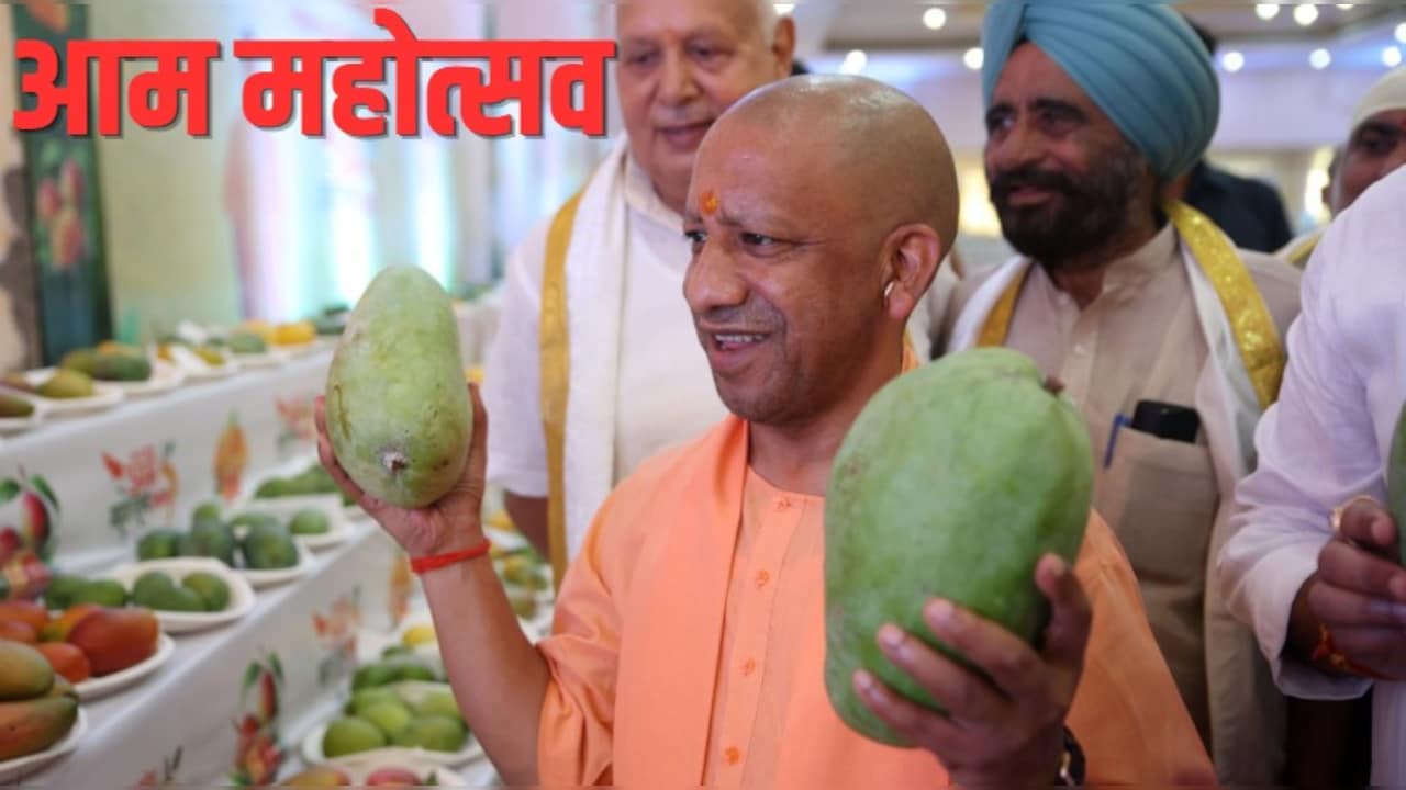 2-2 किलो के आम देख चौंके सीएम योगी, यूपी में आमों की बारात, दशहरा, चौसा से हुस्न-ए-आरा तक 800 किस्म के मैंगो