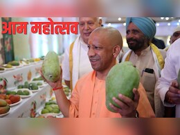 2-2 किलो के आम देख चौंके सीएम योगी, यूपी में आमों की बारात, दशहरा, चौसा से हुस्न-ए-आरा तक 800 किस्म के मैंगो