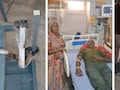 युवक को काटा तो सांप को लेकर अस्पताल पहुंच गए परिजन, चलती क्लास में कोबरा ने मचाया हड़कंप