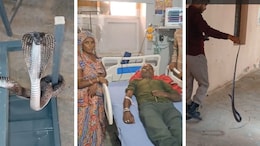 युवक को काटा तो सांप को लेकर अस्पताल पहुंच गए परिजन, चलती क्लास में कोबरा ने मचाया हड़कंप