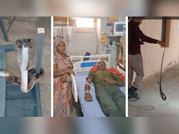 युवक को काटा तो सांप को लेकर अस्पताल पहुंच गए परिजन, चलती क्लास में कोबरा ने मचाया हड़कंप