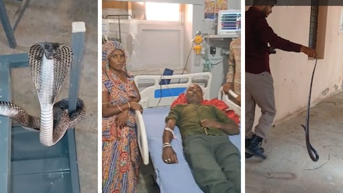 युवक को काटा तो सांप को लेकर अस्पताल पहुंच गए परिजन, चलती क्लास में कोबरा ने मचाया हड़कंप