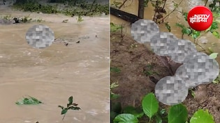 इतनी बारिश हुई कि कब्रों से निकल आए मुर्दे, पानी में तैरने लगे तो घबराए लोग; सहारनपुर का मामला