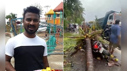 Ex-Deputy Mayor's Son Killed After Coconut Tree Falls On Moving Bike In Thane
