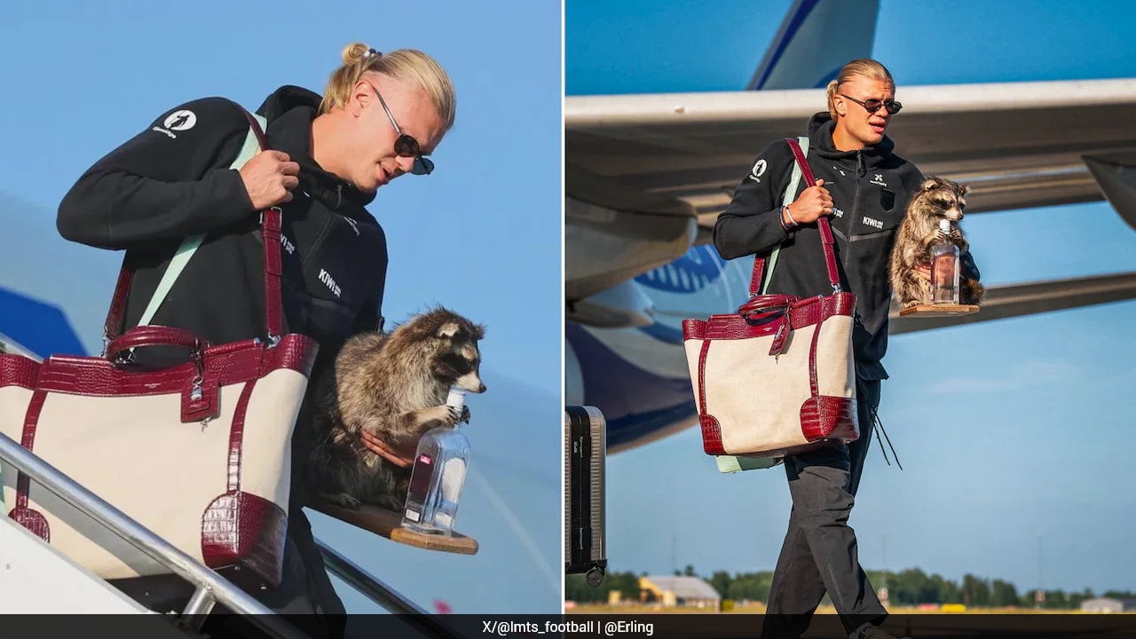 Erling Haaland returns to Norway with taxidermied raccoon souvenir after World Cup exit