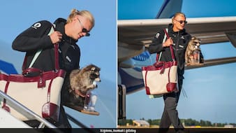 The Story Behind Haaland Carrying 'Raccoon' All The Way Home From World Cup