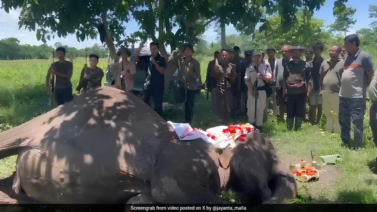 Joymala, Kaziranga's Iconic Patrol Elephant Who Battled A Tiger, Dies At 66