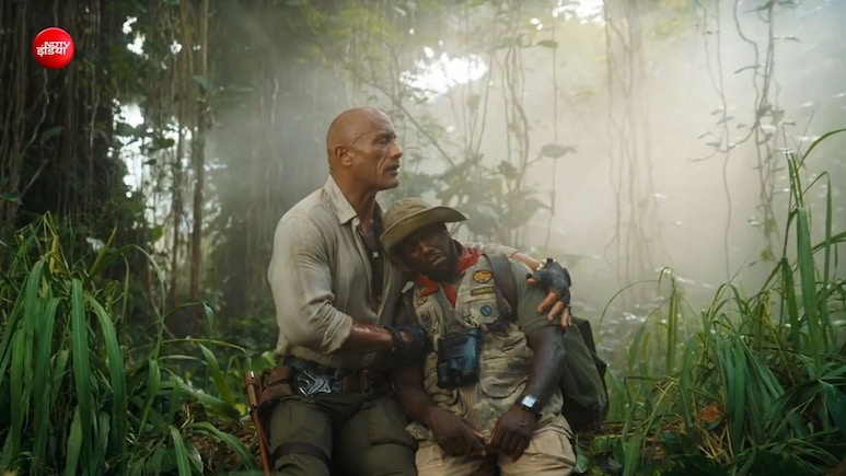 फिर शुरू हो गया 31 साल पुराना जादुई खेल, सड़कों पर उतरे दरियाई घोड़े और गैंडे, खिलाड़ी बने शिकार, पहली झलक ही कर देगी बेहाल