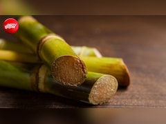 गन्ने से इथेनॉल के अलावा क्या-क्या बनता है? देख लीजिए पूरी लिस्ट