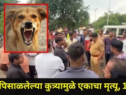 Ahilyanagar News: सावधान! अहिल्यानगरच्या 'या' ठिकाणी पिसळलेल्या कुत्र्याचा धुमाकूळ, एकाचा मृत्यू, 15 जण जखमी
