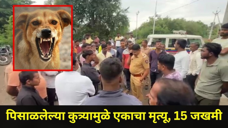 Ahilyanagar News: सावधान! अहिल्यानगरच्या 'या' ठिकाणी पिसळलेल्या कुत्र्याचा धुमाकूळ, एकाचा मृत्यू, 15 जण जखमी
