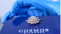 Art Meets Tech: Diamond Lotus From Bengaluru Set To Bloom In Space
