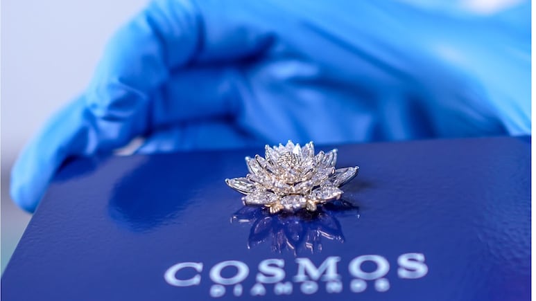 Art Meets Tech: Diamond Lotus From Bengaluru Set To Bloom In Space