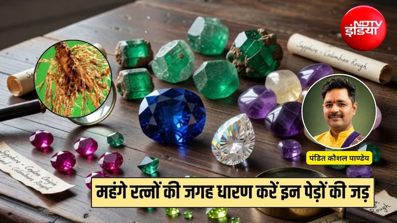 महंगे रत्नों की जगह धारण करें इन पेड़ों की जड़ें, ज्योतिषाचार्य ने बताया ग्रहों का अशुभ प्रभाव होगा कम