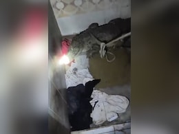 Video: Family Walks Into Bathroom In Flood-Hit Gujarat, Finds 7-Foot Crocodile