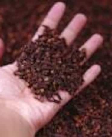 Health Benefits Of Cloves