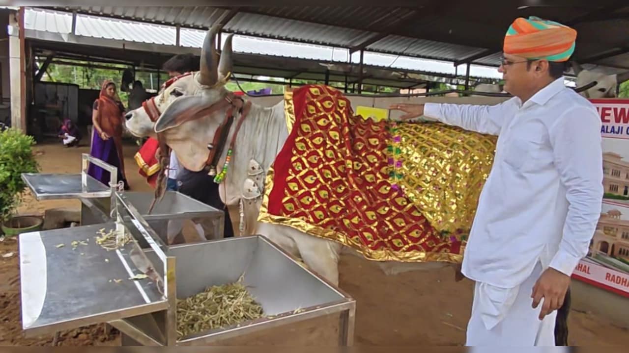 गौमाता 'राधा मैया' के लिए अब बनवा रहे आलीशान महल; गाय के कान में परेशानी बताते ही हो जाती है दूर