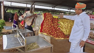 राजस्&zwj;थान के नरेंद्र गाय के ल&zwj;िए बनवा रहे एक करोड़ का महल, गौमाता के कान में बताते हैं अपनी सभी परेशानी