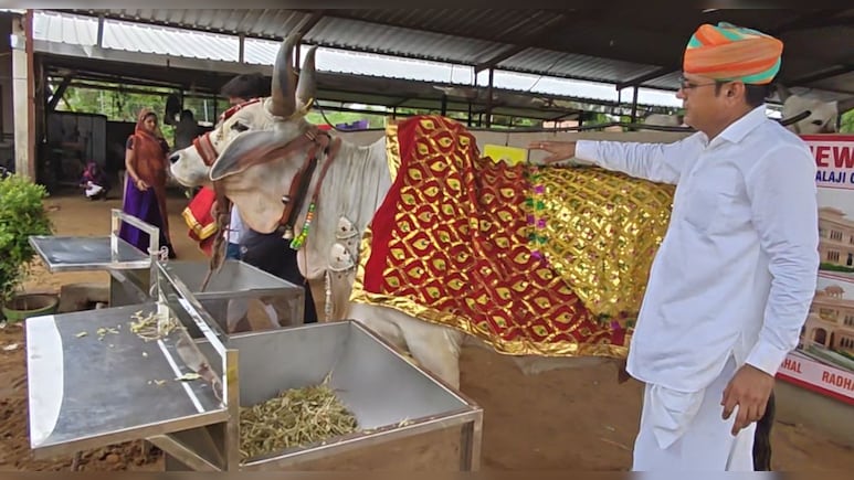 गौमाता 'राधा मैया' के लिए अब बनवा रहे आलीशान महल; गाय के कान में परेशानी बताते ही हो जाती है दूर