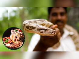 भयंकर ऑफर: एक अजगर लाइए और फ्री में पिज्जा खाइए, जानिए क्या है पूरा मामला