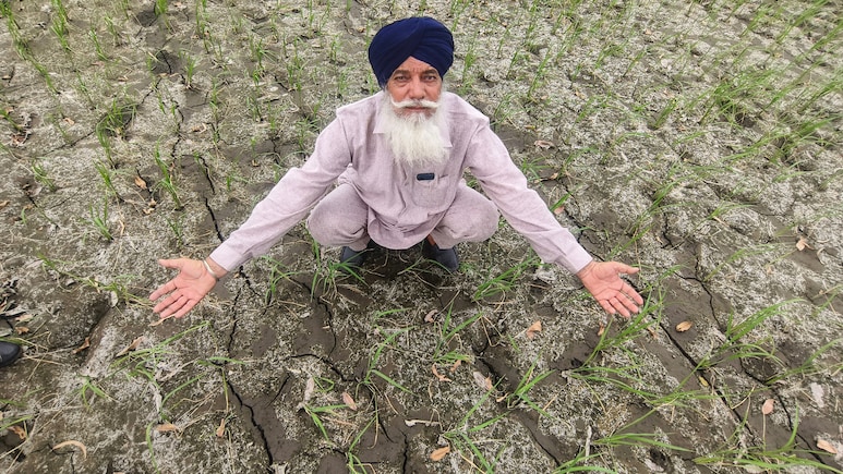 Monsoon Wraps Entire India, Rain Deficit Down, Kharif Sowing Still Under Cloud