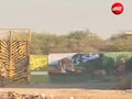मुकुंदरा में बाघों को बसाने के लिए हुए 3 मुश्किल प्रयोग, तीसरा कनकटी पर हुआ था