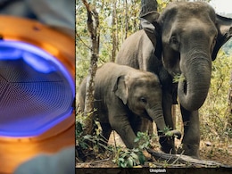 Jharkhand Man, 18, Develops AI Device To Reduce Human-Elephant Conflicts