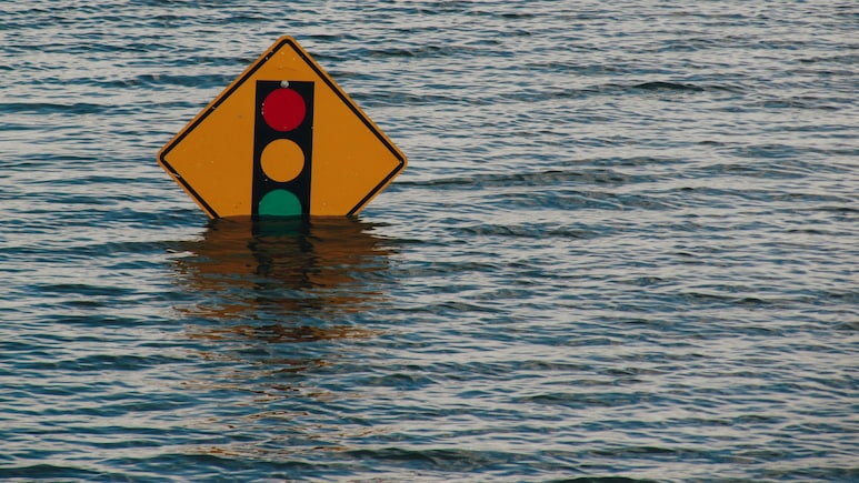 Who Was Venkatesh Doppalapudi? Indian National From Andhra Swept Away In Kansas Floods