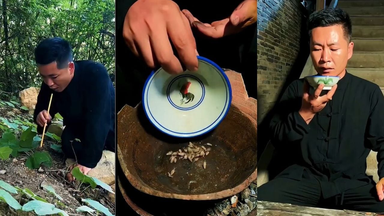 VIDEO: यहां जमीन खोदकर निकालते हैं कीड़े, फिर तवे पर सेंक कर बनाते हैं वाइन! बड़े चाव से पीते हैं लोग