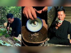 VIDEO: यहां जमीन खोदकर निकालते हैं कीड़े, फिर तवे पर सेंक कर बनाते हैं वाइन! बड़े चाव से पीते हैं लोग