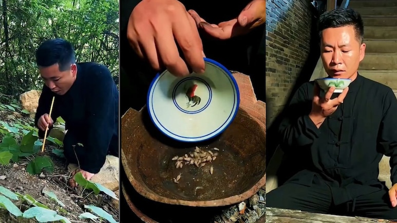 VIDEO: यहां जमीन खोदकर निकालते हैं कीड़े, फिर तवे पर सेंक कर बनाते हैं वाइन! बड़े चाव से पीते हैं लोग
