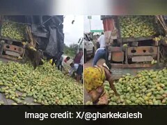 Watch: Crowd Loots Mangoes From Overturned Truck, Internet Says 