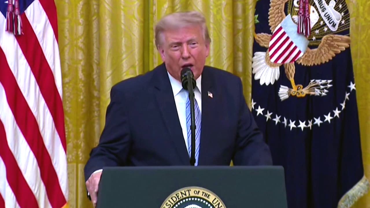 Trump Alleges Foreign Interference In US Elections, Pushes Voting Reforms