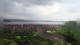 Mumbai Water Level: मुंबईत पावसाची संततधार, धरणांमधील पाणीसाठा वाढला; 7 तलावांची सद्यस्थिती काय?