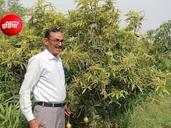 Success Story: बैंक मैनेजर की नौकरी छोड़ अपनाई खेती-बागवानी, सालाना कमा रहे 8 से 10 लाख रुपये... बेटा है IAS
