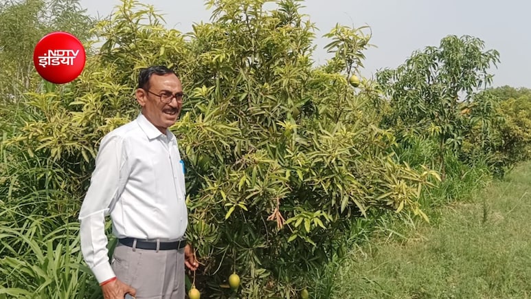 Success Story: बैंक मैनेजर की नौकरी छोड़ अपनाई खेती-बागवानी, सालाना कमा रहे 8 से 10 लाख रुपये... बेटा है IAS