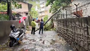 BMC On Overdrive After Tree Crashes Onto Bandra Police Station Amid Monsoon Fury In Mumbai