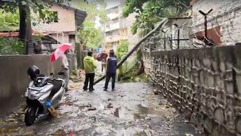 BMC On Overdrive After Tree Crashes Onto Bandra Police Station Amid Monsoon Fury In Mumbai