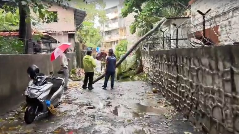 BMC On Overdrive After Tree Crashes Onto Bandra Police Station Amid Monsoon Fury In Mumbai
