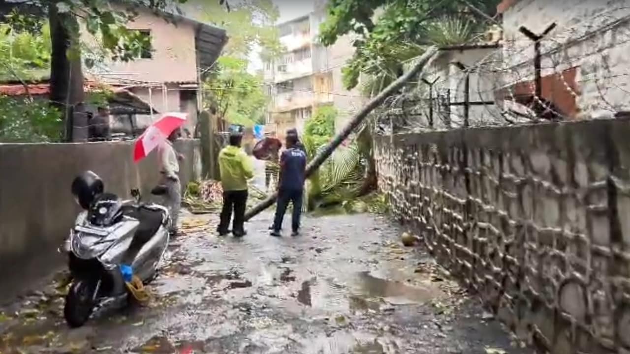 BMC On Overdrive After Tree Crashes Onto Bandra Police Station Amid Monsoon Fury In Mumbai