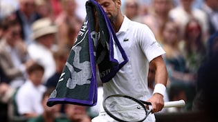 Novak Djokovic vs Jannik Sinner Live Streaming, Wimbledon 2026 Live Telecast: When And Where To Watch