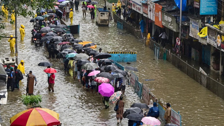 Mumbai Rain Tragedies: Electrocution, Tree Fall, Manhole Accident Claim Three Lives