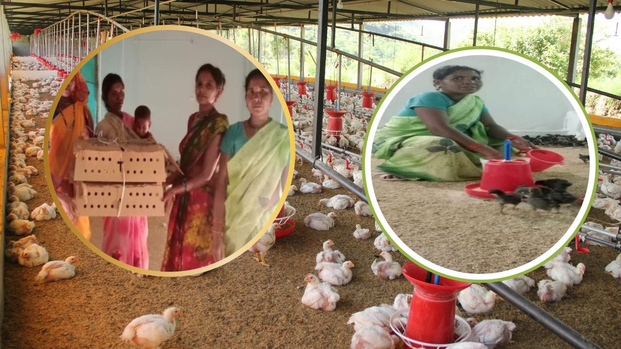 Success Story: कभी 5 रुपये के लिए तरसती थी, अब कमाती है 75 हजार, एक फैसले ने बदल दी जिंदगी