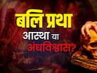 क्या वाकई बलि से मनोकामना पूरी होती है? बलि का इतिहास और इसका तंत्र से नाता
