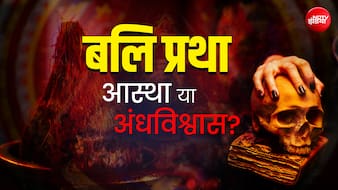 क्या वाकई बलि से मनोकामना पूरी होती है? बलि का इतिहास और इसका तंत्र से नाता
